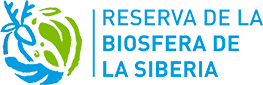 Logo Título largo del proyecto<br>Lorem ipsum dolor sit amet, consectetur adipiscing elit,