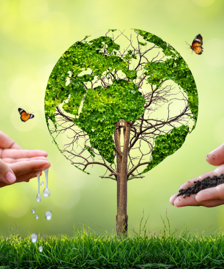 Imagen Eje2. Entornos sostenibles y resiliente