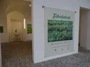 Exposición